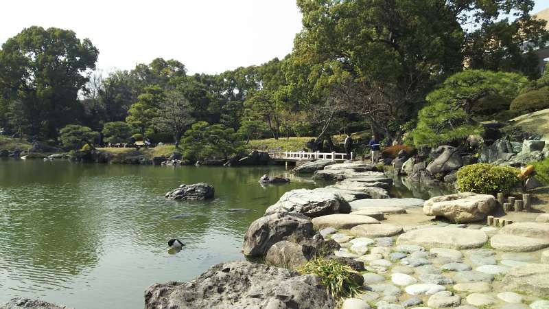 Tokyo Private Tour - Kiyosumi garden