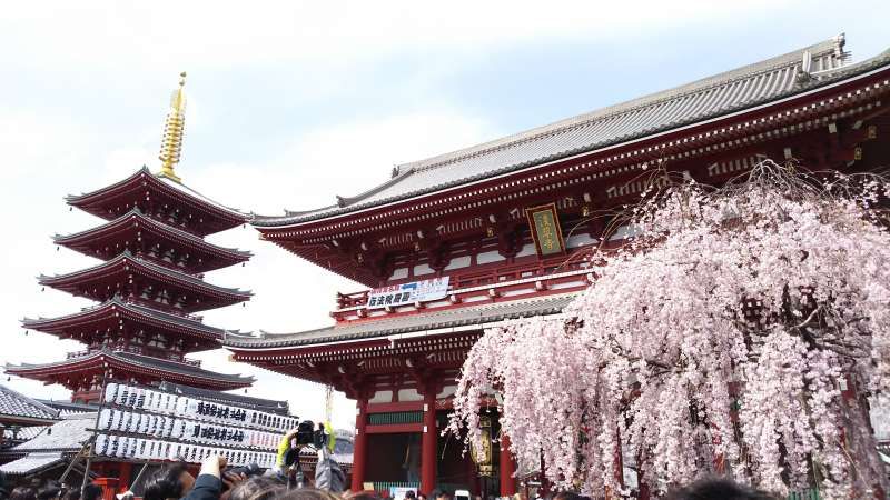 Tokyo Private Tour - Sensoji temple
