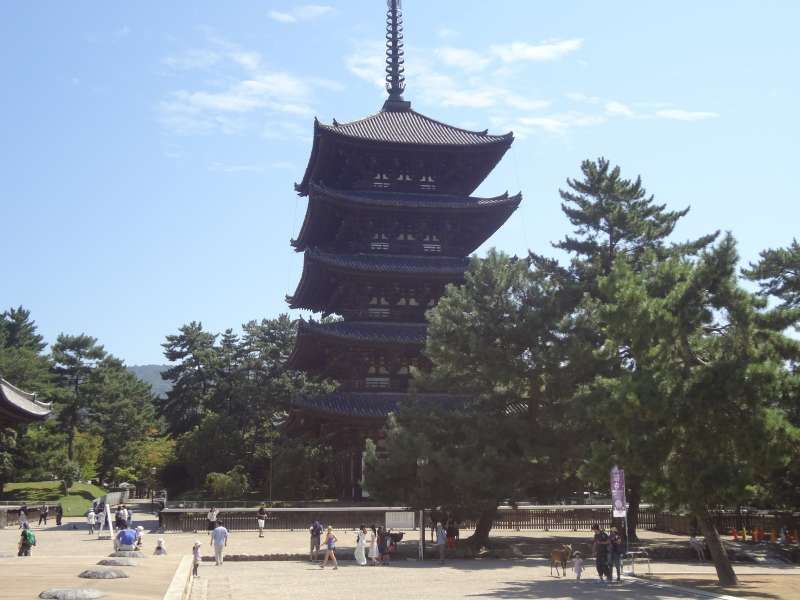 Nara Private Tour - Five-storied Pagoda of Kofukuji Temple (National Treasure, Muromachi period, 1426)