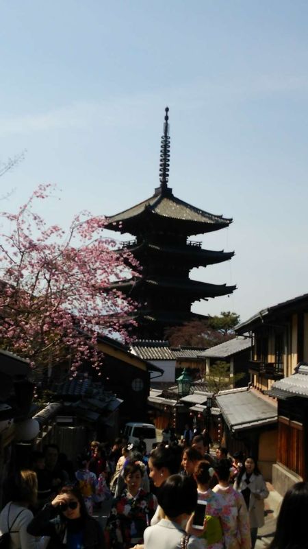 Kyoto Private Tour - null