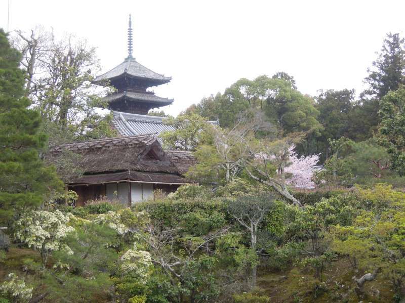 Kyoto Private Tour - Ninna-ji Temple called Omuro, or the emperor's residence, near Kinkaku-ji 