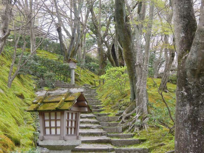 Kyoto Private Tour - Jojako-ji Temple, Arashiyama