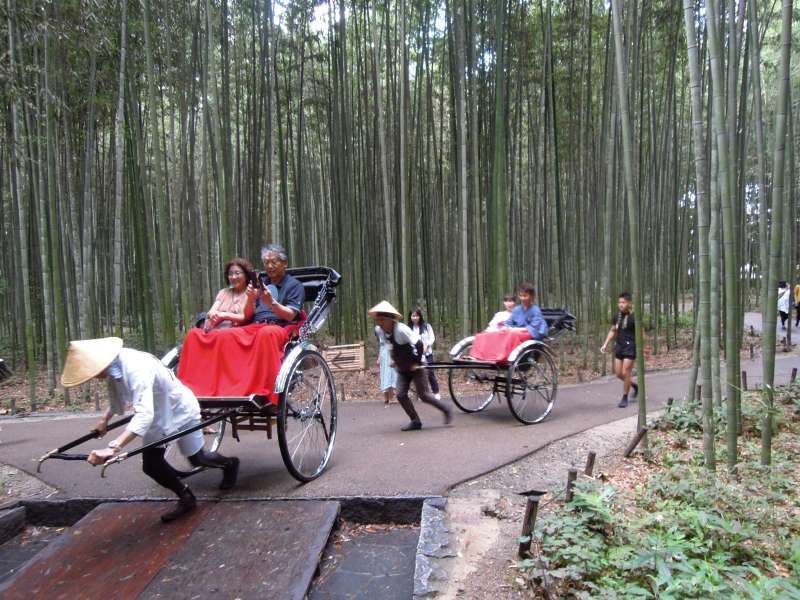 Kyoto Private Tour - At Bamboo Grove, Arashiyama 
