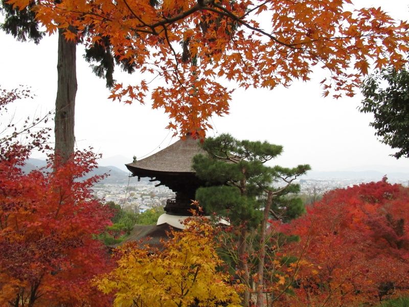 Kyoto Private Tour - Tahoto Pagoda of Jojako-ji Temple, Arashiyama