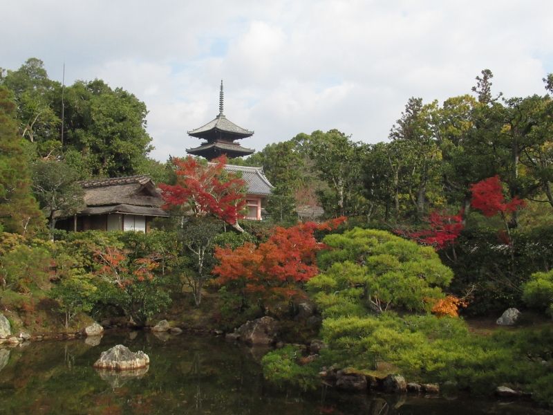 Kyoto Private Tour - Ninna-ji Temple