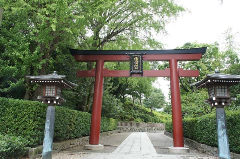 Tokyo Private Tour - Torii von Nezu-Schrein