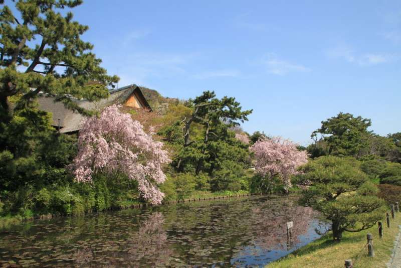 Kamakura Private Tour - 