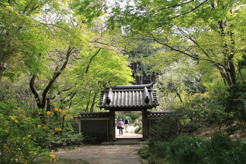 Kamakura Private Tour - 