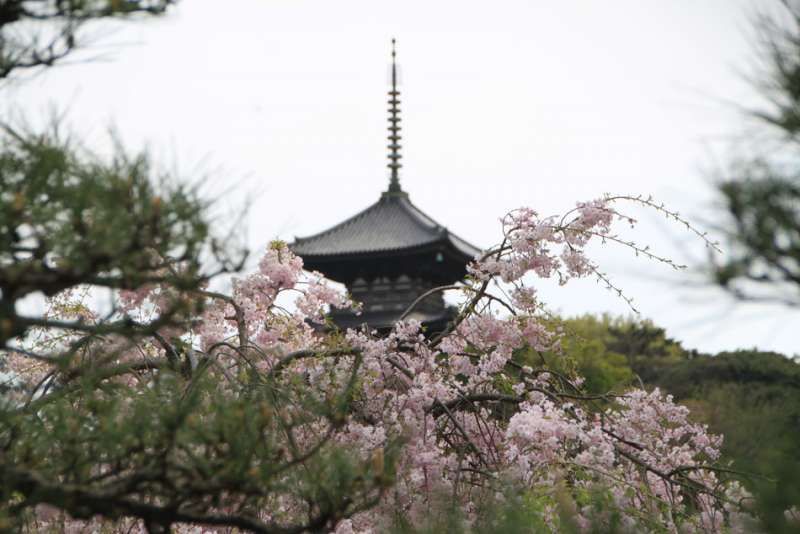 Kamakura Private Tour - 