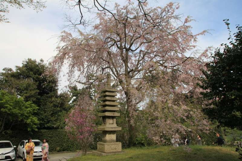 Kamakura Private Tour - 