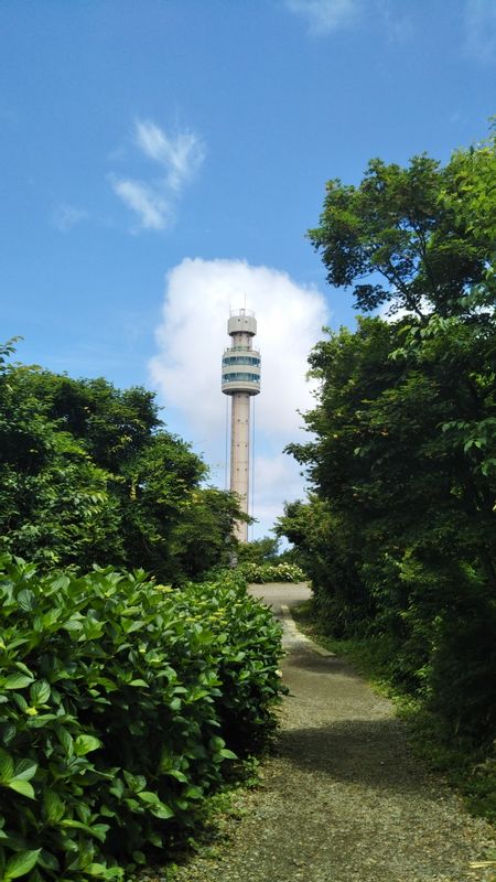 Niigata Private Tour - Panorama Tower, slowly rotates and goes up to the top.  You can enjoy the panoramic view.