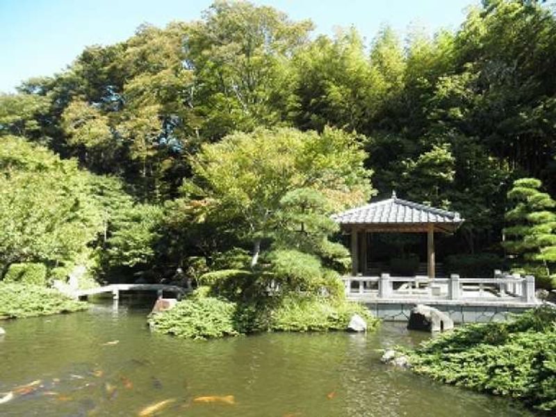 Kanagawa Private Tour - Enjoy a traditional Japanese garden watching huge carps swimming in the pond. The greenery in spring is so refreshing, and the colored leaves in autumn is so beautiful here. You can find the beauty of Japanese traditional landscape gardening. 
