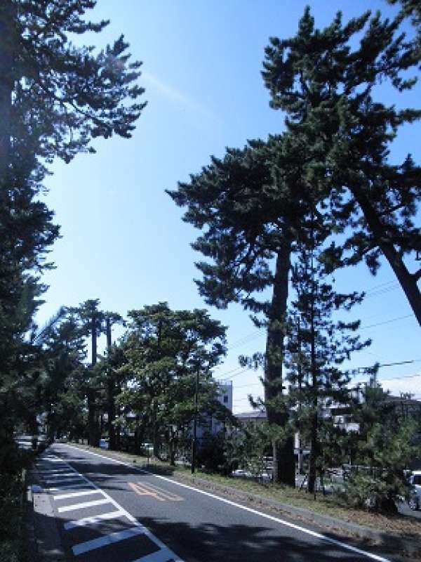 Kanagawa Private Tour - The first Tokugawa shogun, a general in Edo period set out to create 53 post stations on the Tokaido, a national road linking Tokyo to Kyoto. Enjoy strolling the historical road to feel the nostalgic atmosphere and the story of interesting  Japanese history. 
There are so many sites of former houses of VIP in the days of Meiji era.