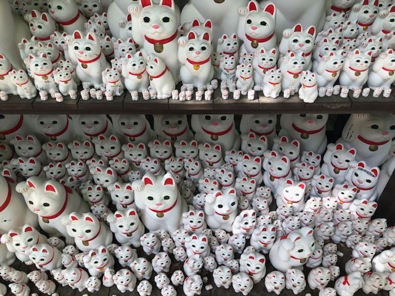 Tokyo Private Tour - The birthplace of Maneki-neko (Good luck cat, Beckoning cat)