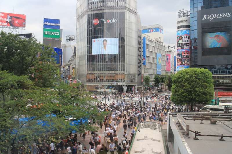 Tokyo Private Tour - Shibuya scramble Crossing