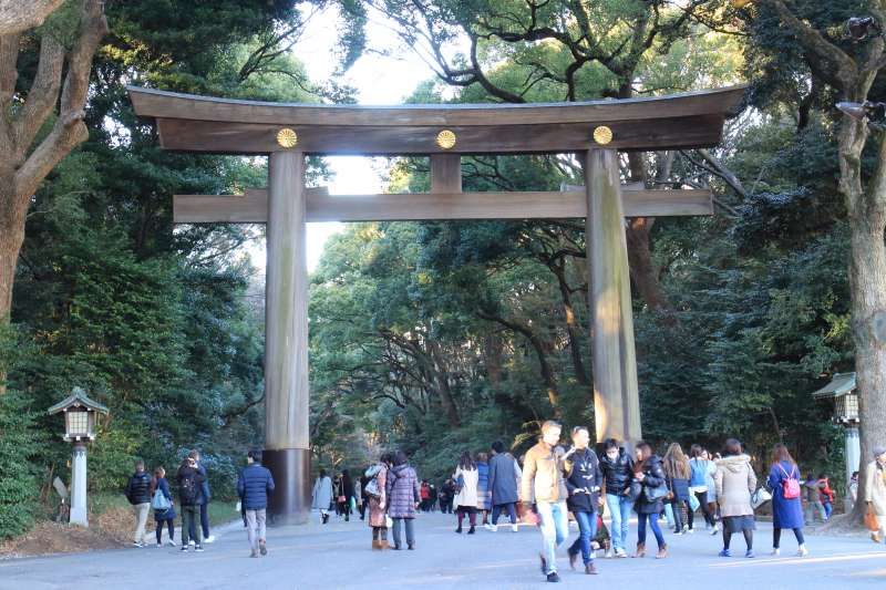 Tokyo Private Tour - Meiji shrine