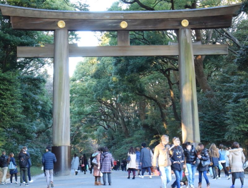 Tokyo Private Tour - Meiji shrine