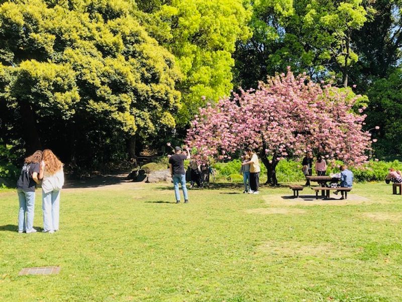 Tokyo Private Tour - Japanese Garden