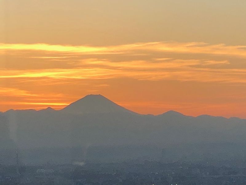 Tokyo Private Tour - The sunset of Mt. Fuji viewing from the observatory of Tokyo Metropolitan Office building