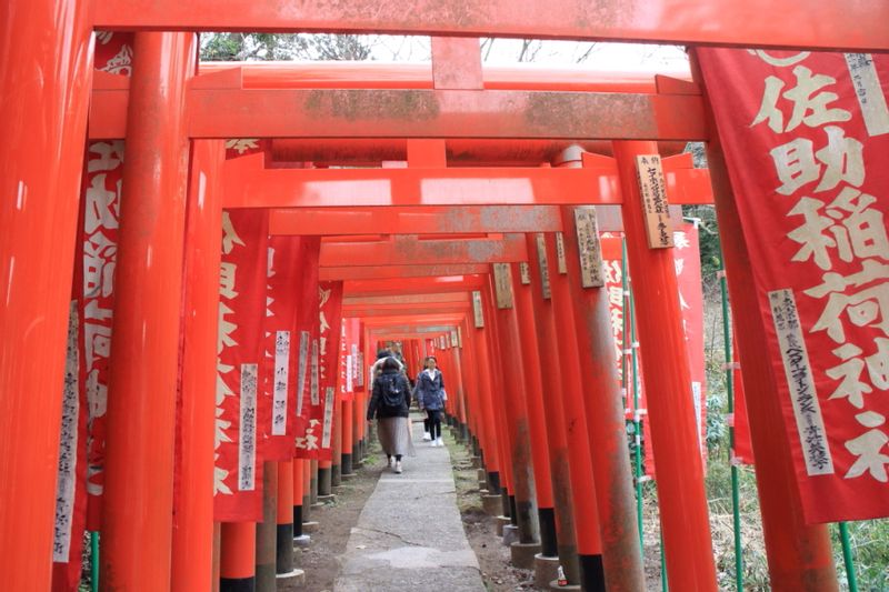 Kamakura Private Tour - Sasuke Inari shrine