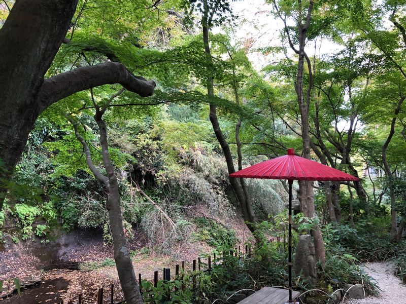 Kamakura Private Tour - beautiful garden in Kamakura