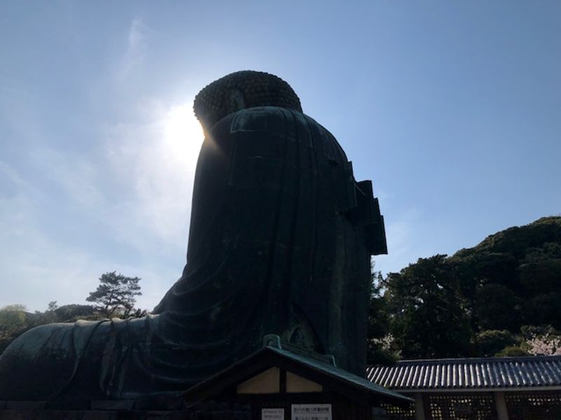 Kamakura Private Tour - The great statue of Buddha 1