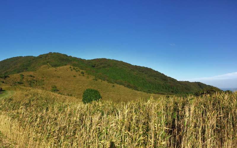 Fukuoka Private Tour - Another panorama view from the hill, right side. Mt. Tonoue top is seen.