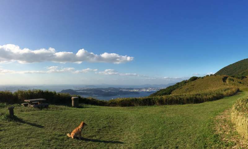 Fukuoka Private Tour - Another panorama view from the hill, left side. As you see, it is a grass field and very comfortable place. Just 30 minutes from the town. Please come to visit the place, and feel how it is like.
For your information, a dog in a frame is my family dog, Shiba-Inu. She is very good mountain climber. :) If you don't mind I may wanto bring her with your trek.