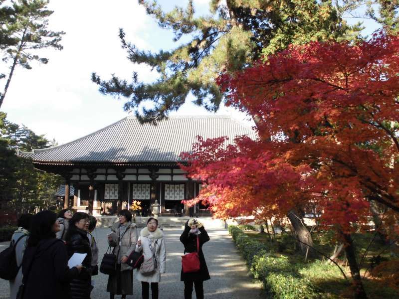 Nara Private Tour - Toushoudai-ji Temple Kondo(Main Hall)
National Treasure, 8th century