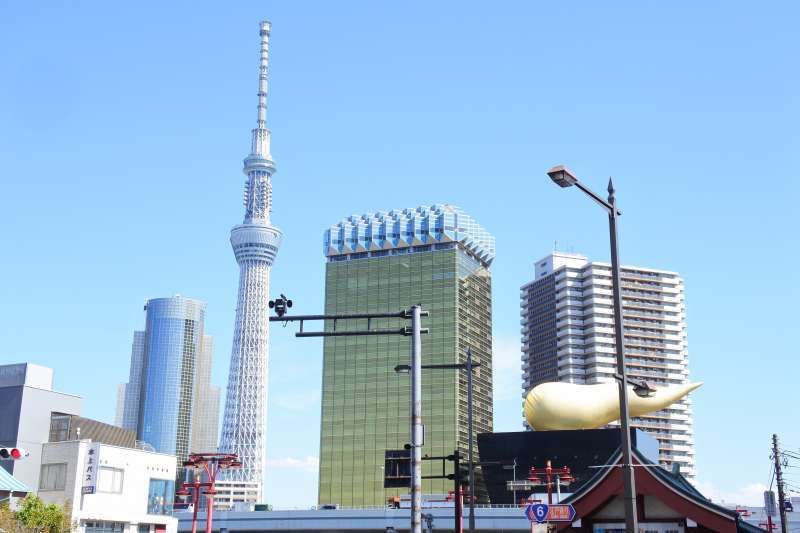 Tokyo Private Tour - Sky Tree