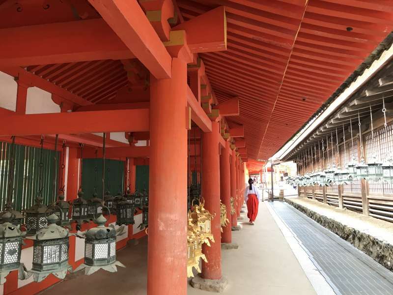 Nara Private Tour - In the glimpse of a moment, a shrine maiden, Kasuga Taisha Shrine, Nara city, Nara