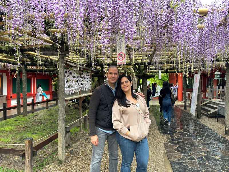 Nara Private Tour - Kasuga Taisha Shrine, Nara