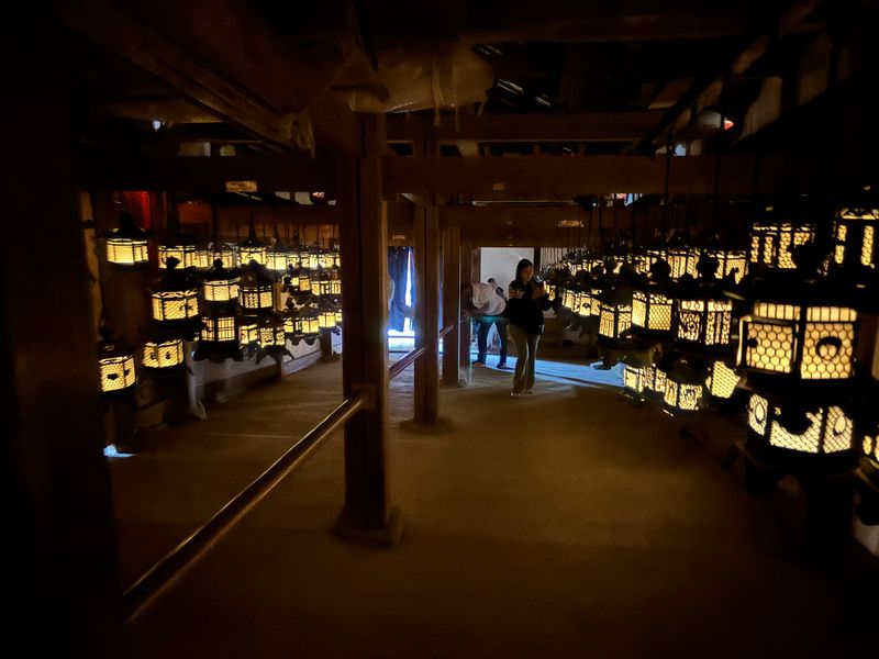 Nara Private Tour - Kasuga Taisha Shrine, Nara