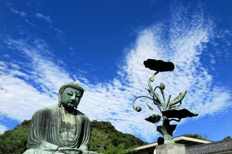 Kamakura Private Tour - Great Buddha under the blue blue sky with snow-white clouds