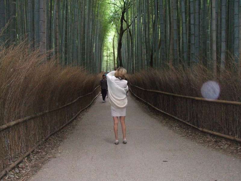 Kyoto Private Tour - Bamboo grove, Saga, Kyoto