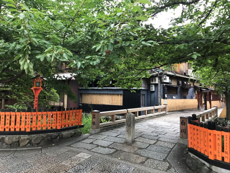 Kyoto Private Tour - Gion Shirakawa, Kyoto