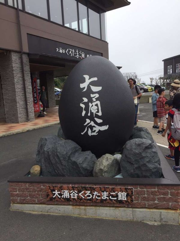 Hakone Private Tour - Giant black egg of Owakudani