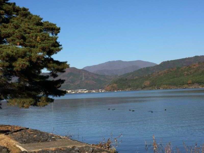 Shiga Private Tour - [Dec.] Lake Yogo in Early Winter (1 of 2)