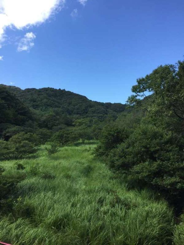 Shiga Private Tour - [Aug.] The Forest & Wetland of "Yamakado Suigen" (2 of 3) 