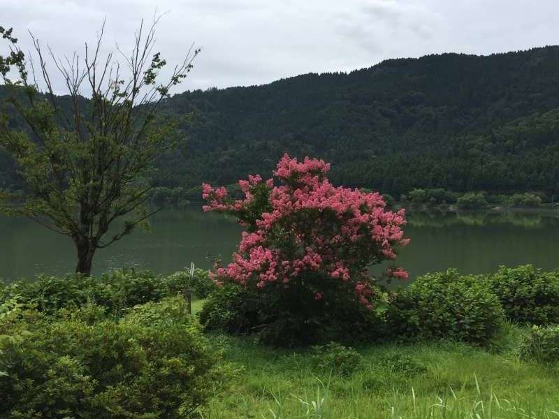 Shiga Private Tour - [Aug.] Lake Yogo in Mid-summer (1 of 3)