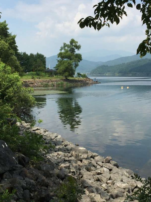 Shiga Private Tour - [Aug.] Lake Yogo in Idyllic Summer Day