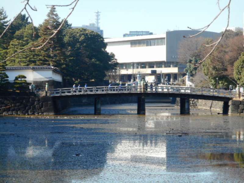 Tokyo Private Tour - Entering from a bridge