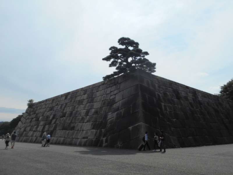 Tokyo Private Tour - The site of the Main Tower of Edo Castle