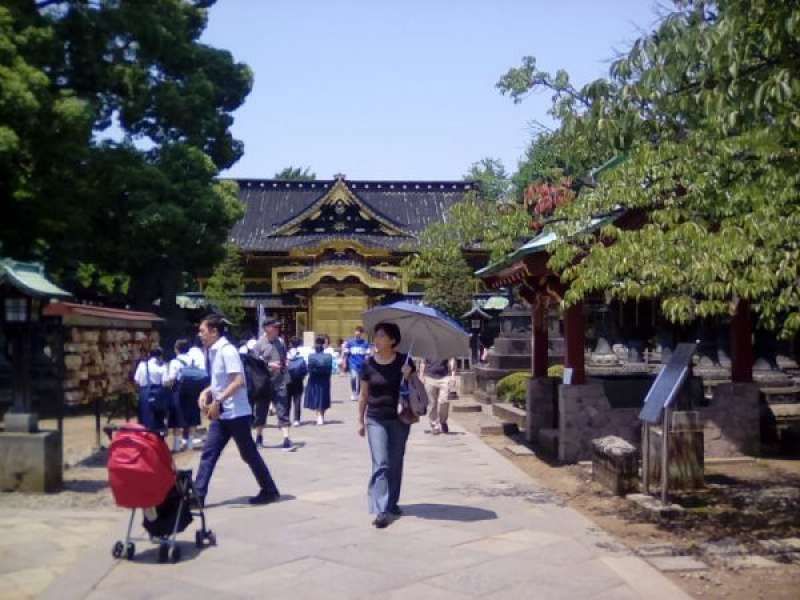 Tokyo Private Tour - Ueno Toshogu Shrine