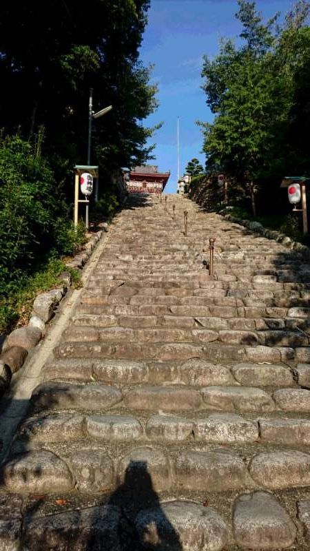 Ehime Private Tour - The shrine is located on a hill. Usually people have to climb up many stone steps. Fortunately the guests of my tour can get down to the foot. The best spot for your taking photos.