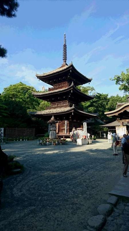 Ehime Private Tour - The three-story pagoda with fine proportion. This was built in 1318 with no nails used.