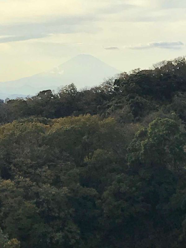 Kamakura Private Tour - View of Mt. Fuji from Kencho-ji Temple hill(N3). A similar view can be seen from Engakuji Temple hill (N1).