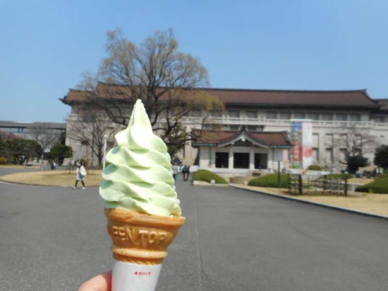 Tokyo Private Tour - Optional: Tokyo National Museum at Ueno Park