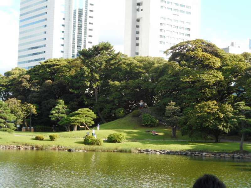 Tokyo Private Tour - View from Nakajima no chaya Tea House