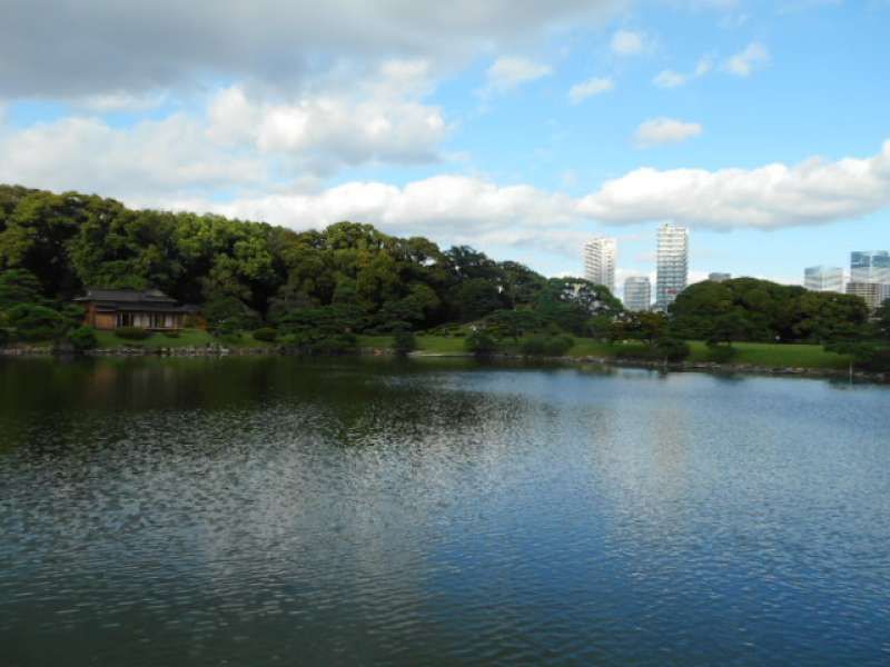 Tokyo Private Tour - It's worth walking around at a relaxing pace